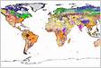 Harmonized World Soil Database v 1.2
